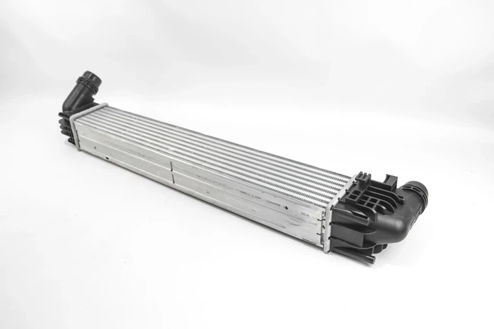 Радіатор інтеркулера DUSTER 1.5 dCi 10- GOODREM RH0219 Dacia Duster; Renault Duster 8200880552 - изображение 2