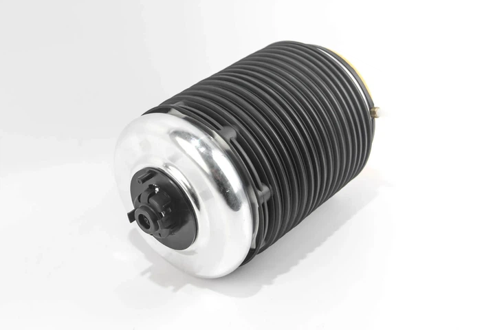 Подушка пневмопідвіски (ззаду) Audi A6/A7 10-18 Л. GOODREM RA0271 Audi A6, A7 4G0616001K - зображення 3