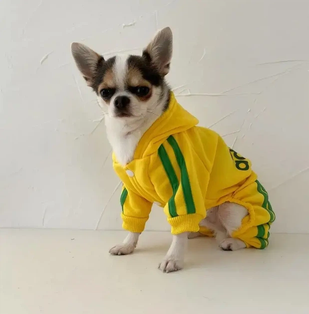 Спортивний костюм Adidog жовтого кольору розмір М - Фото 1 Спортивний костюм Adidog жовтого кольору розмір М - изображение 1
