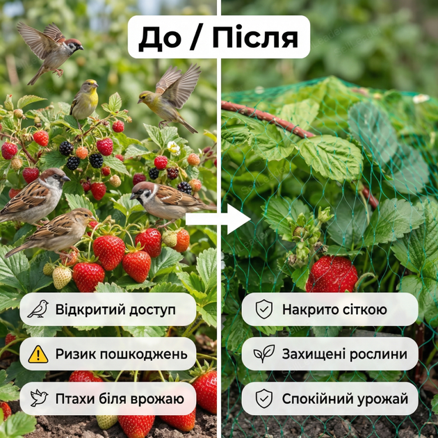 Сетка Shadow 4х5м защита урожая от птиц для сада огорода ячейка 20х20мм антиптичная полиэтилен UV устойчивая - изображение 5