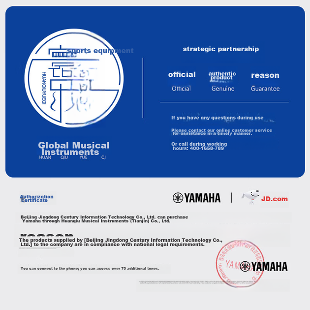Електронна клавіатура YAMAHA PSS-E30, багатофункціональна для початківців, якість звуку для новачків, подарунок на день народження та День захисту дітей, стандартна конфігурація з кейсом - изображение 5