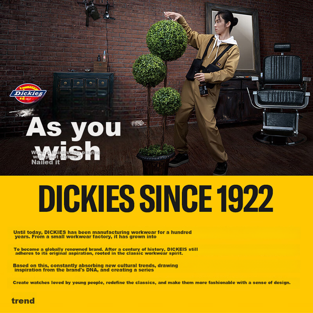 Женский рюкзак Dickies DK Schoolbag с множеством отделений, большой вместимостью, подходит для учащихся средних и старших классов, дорожная сумка. - изображение 11