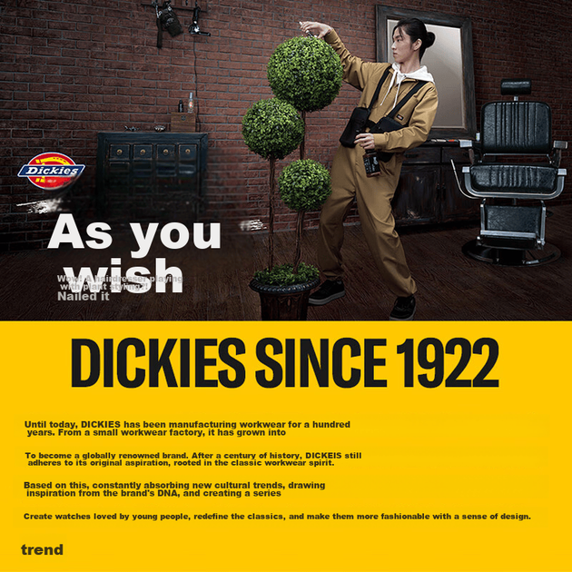 Рюкзак Dickies для женщин, милый мини-рюкзак для детей, школьная сумка для учеников средней и старшей школы, повседневная дорожная сумка, вариант для подарка. - изображение 8