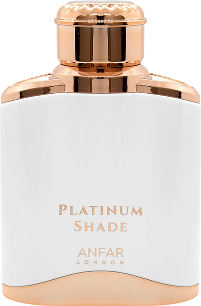 Парфумована вода для жінок Anfar London Platinum Shade 100 мл (6292257588705) - зображення 2