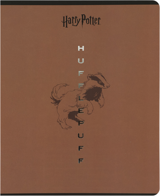 Набор тетрадей Kite Harry Potter 24 листа в линию 10 шт (HP26-239/10) - изображение 7