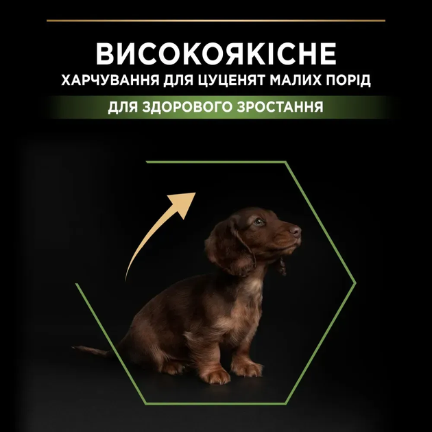 Сухий корм для щенят Purina Pro Plan Small & Mini Puppy Healthy Start з куркою 700 г 12272382 - зображення 4