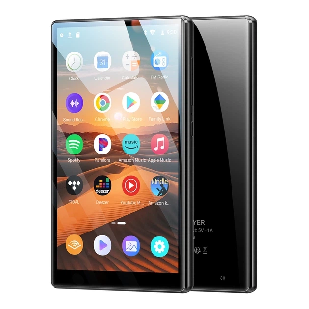MP3プレーヤー　Oilsky M501 Pro Аудиоплеер OilSky M501 Pro с поддержкой Hi-Res Lossless, 96 ГБ