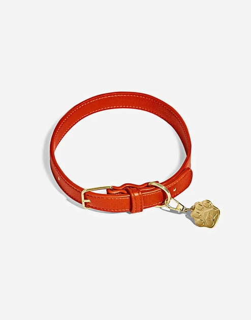 Парфуми для собак Dolce&Gabbana Fefé + нашийник M/L - изображение 2
