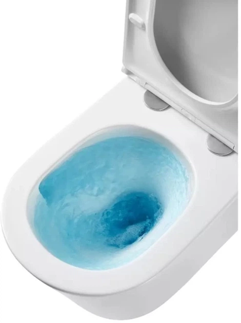 Інсталяція Grohe Rapid SL 38840000 (UA3873200A) з панеллю змиву Skate Cosmopolitan 38732000 + унітаз Devit Linea Rimless DLI30401111W Vortex Flush з сидінням Soft Close дюропласт - зображення 3