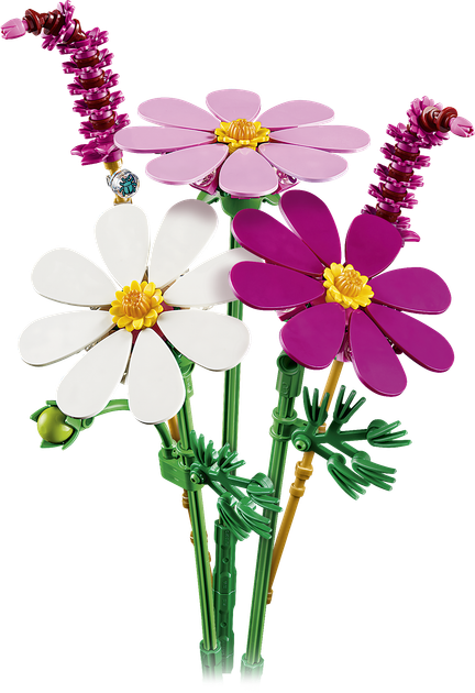 Конструктор LEGO Botanicals Квіти космеї 171 деталь (11514) - зображення 2