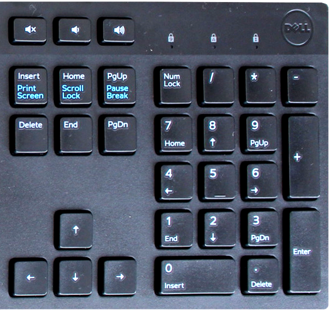 Клавіатура дротова Dell KB216 USB Lithuanian Black (580-ADHY_LT) - зображення 2