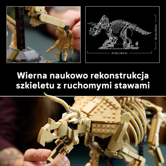 Zestaw klocków LEGO Jurassic World Szkielety dinozaurów: triceratops 1154 elementy (77985) - obraz 5