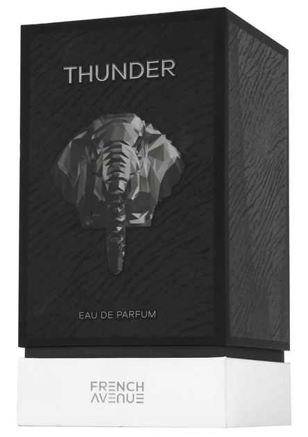 Парфумована вода унісекс French Avenue Thunder 100 мл (6290360379517) - зображення 3