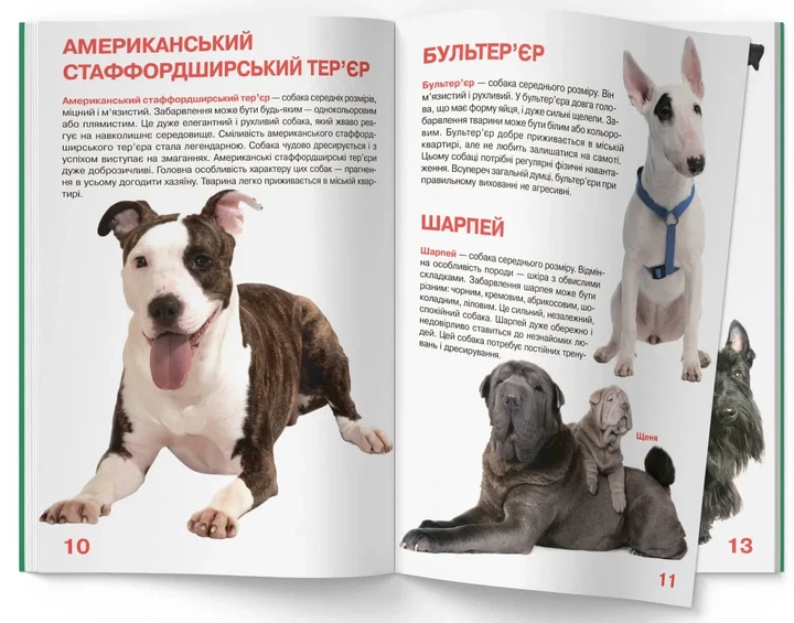 Книга «Велика книжка. Собаки». Автор - Олег Зав'язкин - изображение 4