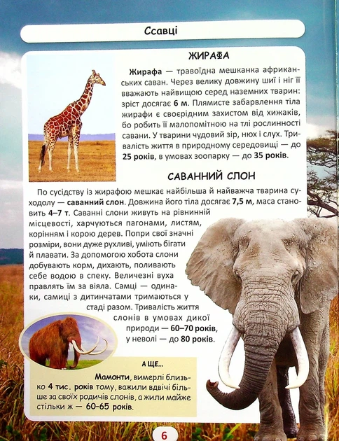 Книга «Світ навколо нас. Хто скільки живе?». Автор - Дмитро Турбаніст - Фото 5 Книга «Світ навколо нас. Хто скільки живе?». Автор - Дмитро Турбаніст - зображення 5