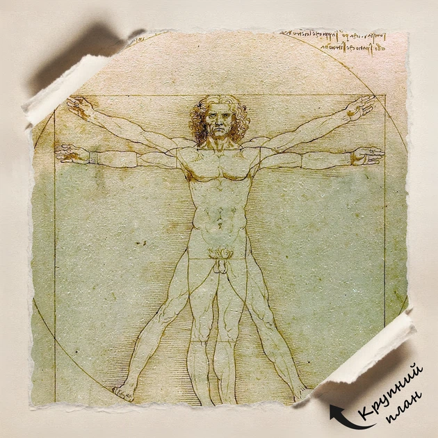 Постер Витрувианский человек, Леонардо да Винчи, Leonardo da Vinci, Vitruvian Man, A3 42×30 см (id6952) - изображение 4