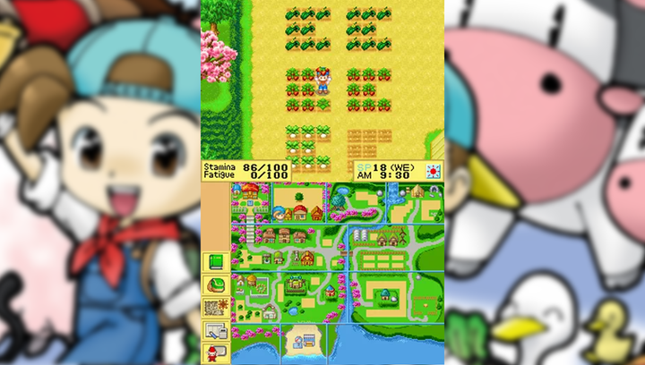 Гра Nintendo DS Harvest Moon Europe Англійська Версія Б/У - зображення 3