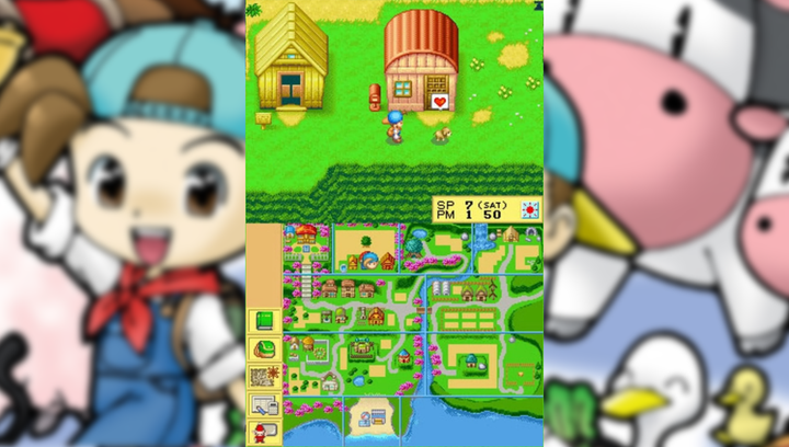 Гра Nintendo DS Harvest Moon Europe Англійська Версія Б/У - зображення 5
