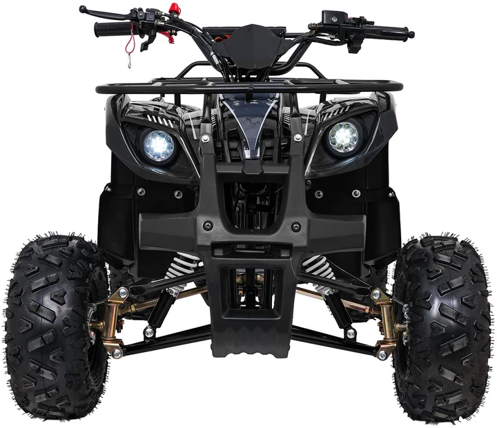 Квадроцикл Wildpeak 110CC бензиновий чорний PSP.ATV006.CZ (5903864960495) - зображення 11