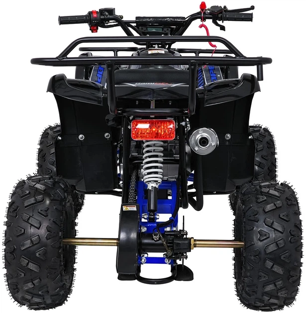 Квадроцикл Wildpeak 110CC бензиновий синій PSP.ATV006.NIE (5903864960518) - зображення 19