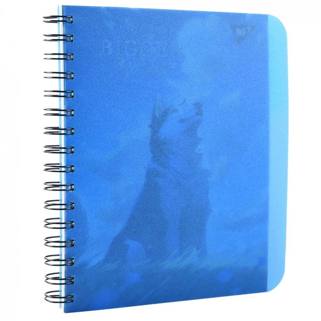 Зошит для записів Yes А5 144 аркуша клітинка пластикова обкладинка Husky (681973) - Фото 2 Зошит для записів Yes А5 144 аркуша клітинка пластикова обкладинка Husky (681973) - изображение 2