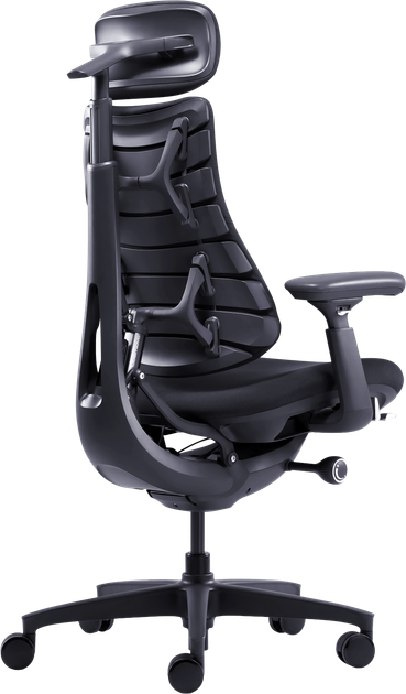 Эргономичное кресло LiberNovo Omni Midnight Black динамическая поддержка позвоночника - Фото 4 Эргономичное кресло LiberNovo Omni Midnight Black динамическая поддержка позвоночника - изображение 4