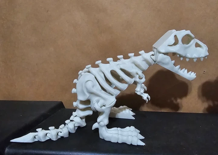 Подвижный скелет Тираннозавра – Tyrannosaurus Rex 20х10х10 см белый - изображение 3