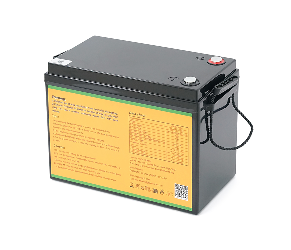 Аккумулятор LiFePO4 25.6V 100Ah Eco-Worthy (45523) - изображение 2