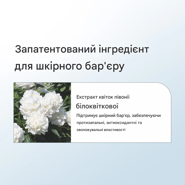 Крем для обличчя бар'єрний Dr.Althea 147 Barrier Cream 50 мл - Фото 2 Крем для обличчя бар'єрний Dr.Althea 147 Barrier Cream 50 мл - изображение 2