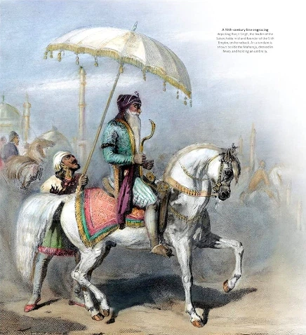 Sikhs: The Story of a People, Their Faith and Culture (9780241607992) - зображення 7