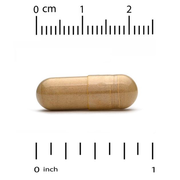 Ежовик гребенчатый California GOLD Nutrition, Fungiology "Lion’s Mane" органический гриб гериций / львиная грива, 600 мг (90 растительных капсул) - изображение 4