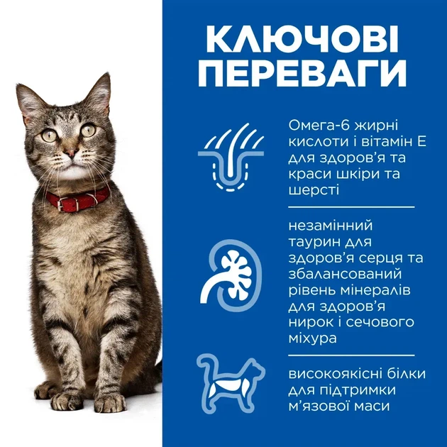 Hill's SCIENCE PLAN Adult Сухой корм для взрослых кошек, с курицей, 15 кг - изображение 2