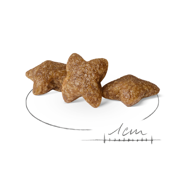 Сухий корм для собак Royal Canin Mini Adult для дорослих собак малих порід, 800 г - изображение 2
