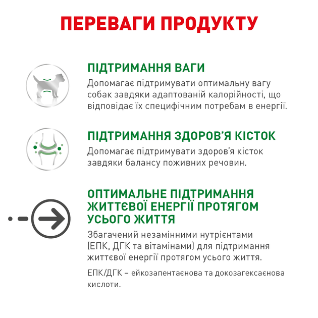 Сухий корм для собак Royal Canin Mini Ageing 12+ малих порід від 12 років 800 г - изображение 5