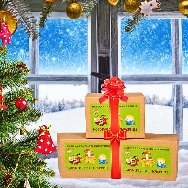 Грибной подарочный набор для выращивания Королевских шампиньонов с засеянным мицелием 3 коробки - Фото 7 Грибной подарочный набор для выращивания Королевских шампиньонов с засеянным мицелием 3 коробки - изображение 7