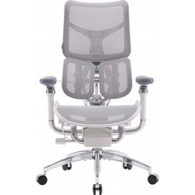 Офисное кресло Sihoo doro s300 Mesh Light Grey (s300-m202) - изображение 2