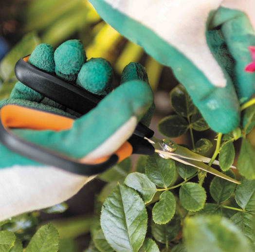 Ножиці для рослин і квітів Fiskars Solid ™ Softgrip SP15 1051602 - изображение 6