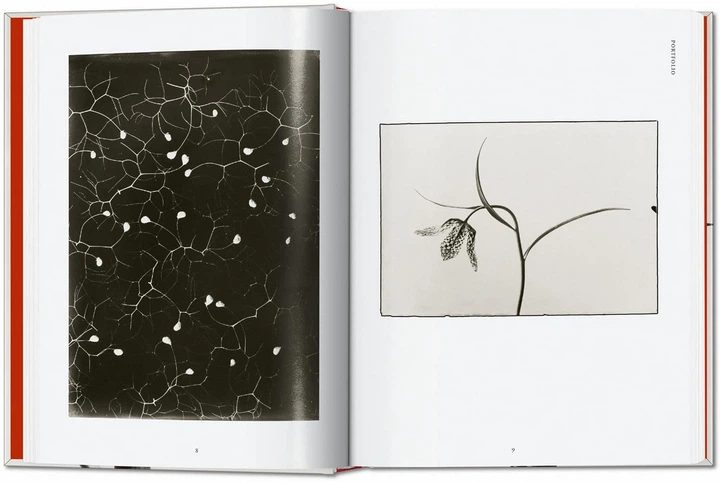 Karl Blossfeldt. The Complete Published Work. 45th Edition - Hans Christian Adam (9783836598514) - obraz 2