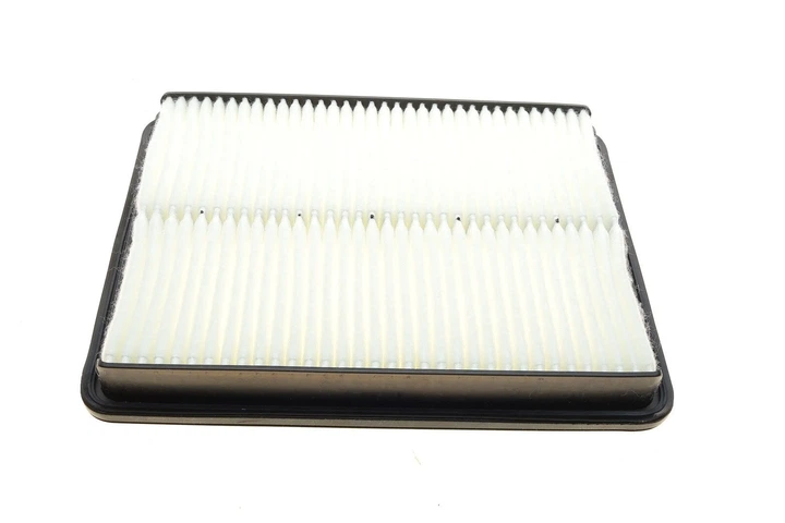 Повітряний фільтр MANN C30017 Hyundai Santa Fe 19372654, 281132W100 - изображение 2