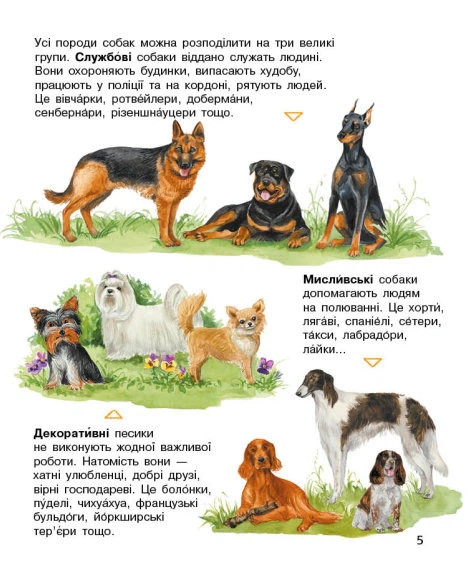 Книга Собаки. Енциклопедія дошкільника. Юлія Каспарова - Фото 3 Книга Собаки. Енциклопедія дошкільника. Юлія Каспарова - изображение 3