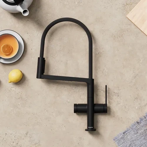Змішувач hansgrohe Talis Select M54 PowderSpray для кухонної мийки 72861670, чорний матовий - изображение 3
