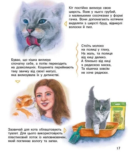 Книга «Коти. Енциклопедія дошкільника». Автор - Юлія Каспарова - Фото 5 Книга «Коти. Енциклопедія дошкільника». Автор - Юлія Каспарова - зображення 5