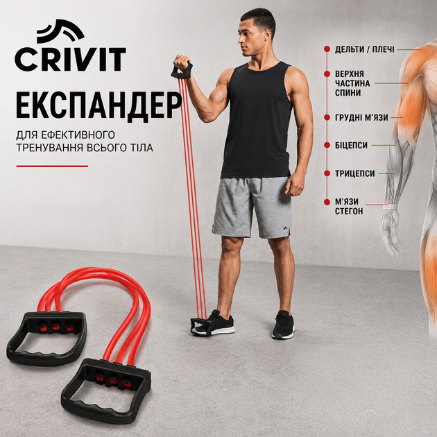 Еспандер Crivit KT-13432 з регульованим навантаженням 3 еластичних джгута Red-Black (3_08351) - Фото 4 Еспандер Crivit KT-13432 з регульованим навантаженням 3 еластичних джгута Red-Black (3_08351) - зображення 4