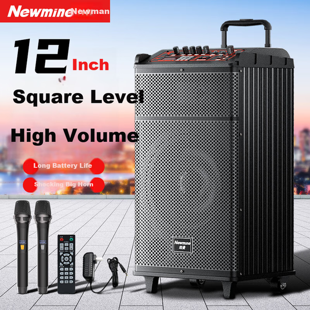 Портативний Newmine N520 Square Dance з потужним басом, відкритий караоке Bluetooth, візок, акустична гітара, народний інструмент, динамік, підсилювач для вуличних торгових точок, подвійний мікрофонний адаптер, 12 дюймів - изображение 4
