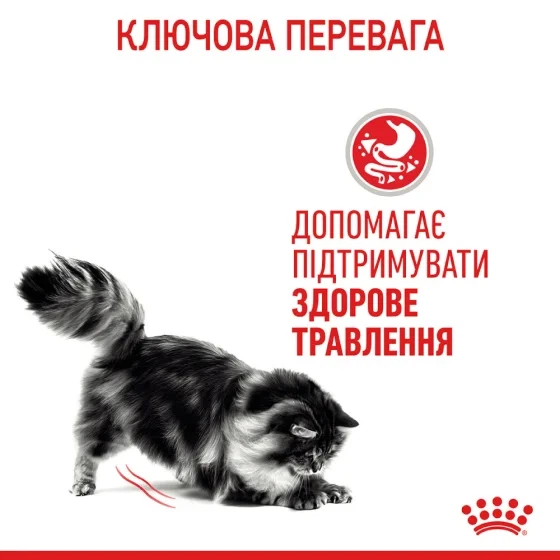 Вологий корм Royal Canin Digest Sensitive при чутливому травленні у кішок, шматочки в соусі, 85 г - зображення 2