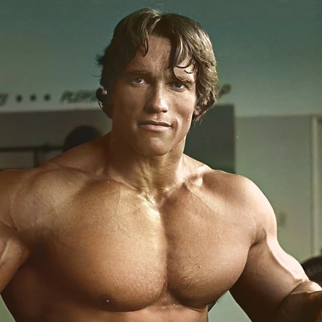 Інтер'єрна картина Молодий Арнольд Шварценеггер, Містер Олімпія, Arnold Schwarzenegger, бодибілдер, 60×85 см (id5422) - зображення 4