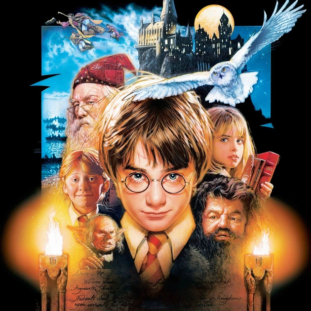 Интерьерная картина Гарри Поттер и философский камень, Harry Potter (2001), 42×30 см (id1594) - изображение 4