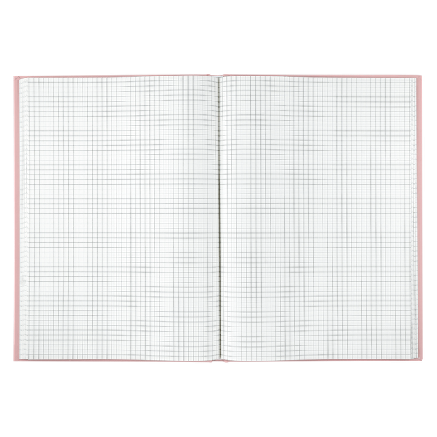 Книга канцелярська тверда обкладинка А4 96 аркушів # офсет BUROMAX MORANDI STYLE, пудрова (8) /BM.2400-457i/ - изображение 2