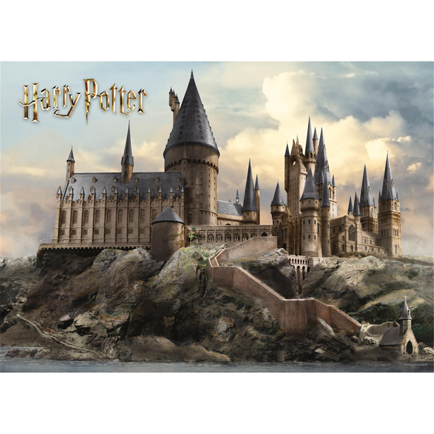 Картина по номерам Гарри Поттер Хогвартс Harry Potter Hogwarts 40х50 см - Фото 1 Картина по номерам Гарри Поттер Хогвартс Harry Potter Hogwarts 40х50 см - изображение 1