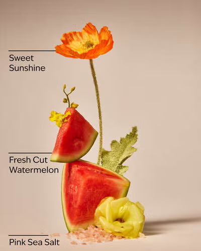 Жидкое мыло-пена для рук Bath & Body Works (1200198010778) Fresh Watermelon Gentle & Clean Foaming Hand Soap 259 мл - Фото 3 Жидкое мыло-пена для рук Bath & Body Works (1200198010778) Fresh Watermelon Gentle & Clean Foaming Hand Soap 259 мл - изображение 3